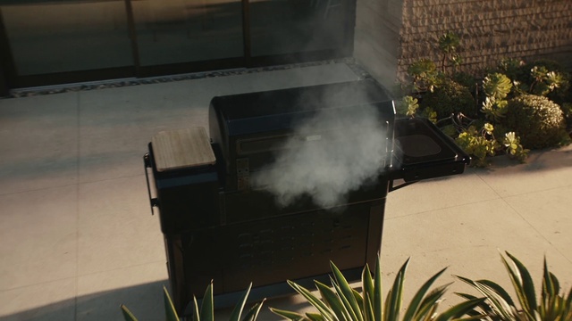 Video Reference: Plant, Atmospheric phenomenon, Grass, Morning, Wood, Gas, Tints and shades, Landscape, Automotive exterior, Smoke