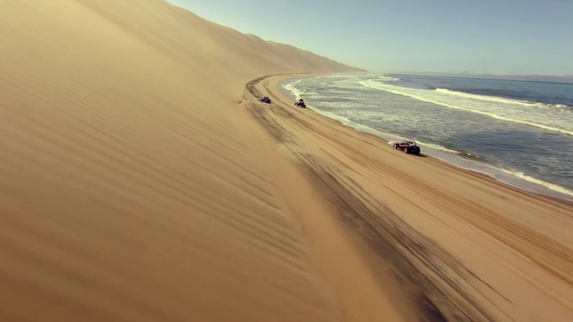 Video Reference: Sky, Water, Natural environment, Landscape, Beach, Plain, Natural landscape, Singing sand, Tree, Wood