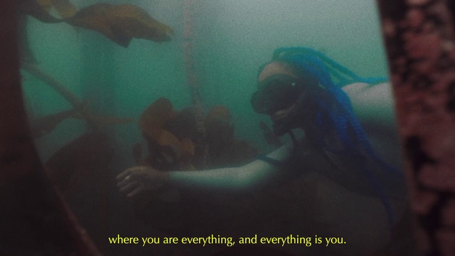 Video Reference: Water, Underwater diving, Underwater, Fluid, Organism, Diving equipment, Divemaster, Scuba diving, Marine biology, Personal protective equipment