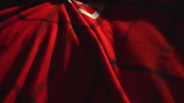 Video Reference: Petal, Textile, Automotive lighting, Tints and shades, Curtain, Magenta, Electric blue, Pattern, Event, Entertainment