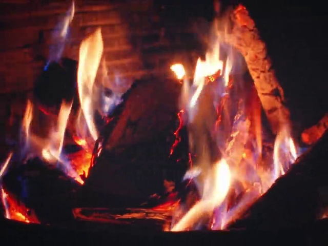 Video Reference: Bonfire, Fire, Flame, Campfire, Heat, Wood, Fireplace, Gas, Event, Ash