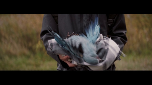 Video Reference: Glove, Sleeve, Flash photography, People in nature, Gesture, Happy, Grass, Wing, Feather, Event
