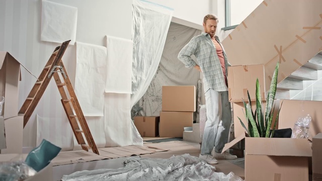 Video Reference: Property, Plant, Tripod, Comfort, Wood, Interior design, Houseplant, Floor, Flooring, Snapshot