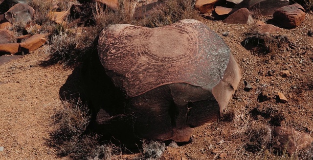 Video Reference: Elephant, Elephants and Mammoths, Working animal, Wood, Terrestrial animal, Grass, Snout, Trunk, Landscape, Plant