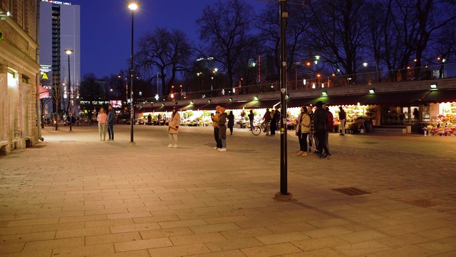 Video Reference: Sky, Street light, Tree, Road surface, Building, Leisure, Electricity, City, Crowd, Mixed-use