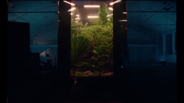 Video Reference: Plant, Organism, Grass, Tints and shades, Art, Landscape, Midnight, Wood, Vehicle door, Automotive lighting