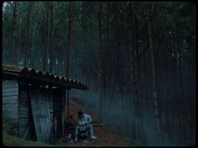 Video Reference: Plant, Tree, Wood, Natural landscape, Art, Tints and shades, Landscape, Forest, People in nature, Midnight