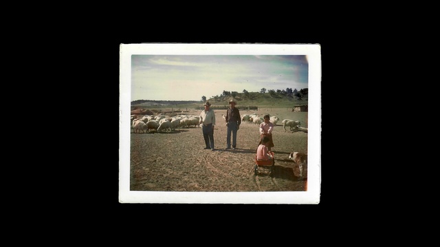 Video Reference: Cloud, Flash photography, Dress, Rectangle, People in nature, Mammal, Sky, Landscape, Grass, Tints and shades