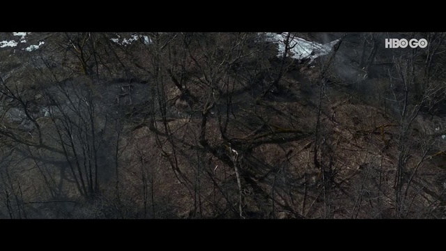 Video Reference: Atmosphere, Plant, Sky, Tree, Twig, Natural landscape, Wood, Trunk, Adaptation, Tints and shades