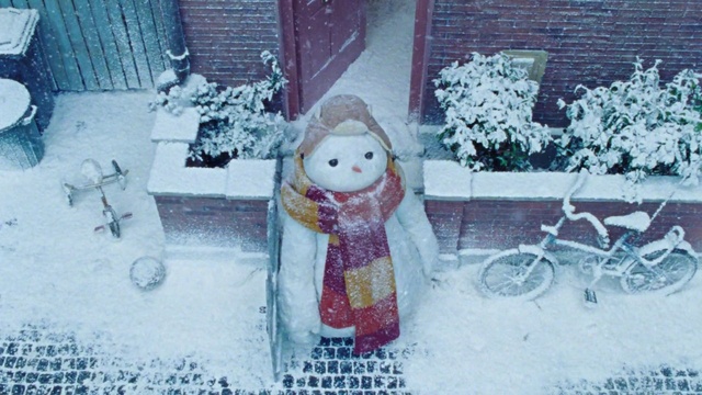 Video Reference: Plant, Snow, Bicycle, Photograph, Window, Wheel, Tire, White, Bicycle wheel, Door