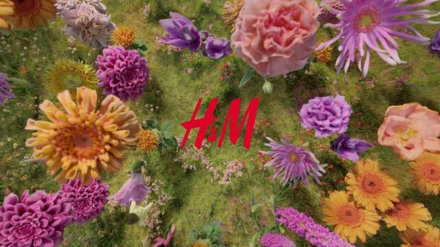 Video Reference: Flower, Plant, Petal, Botany, Organism, Flowering plant, Flower Arranging, Groundcover, Shrub, Annual plant