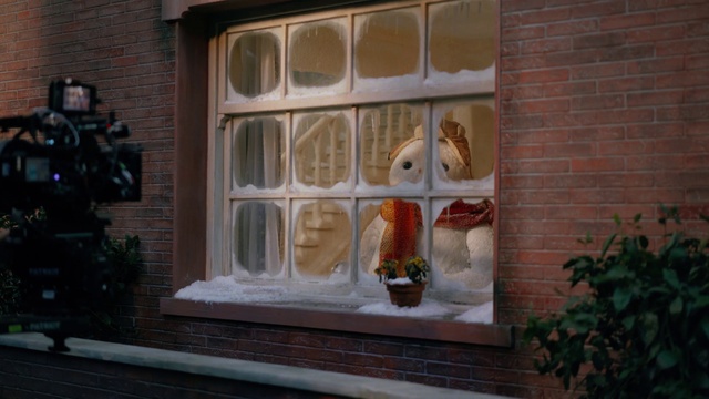 Video Reference: Property, Plant, Window, Wood, Fawn, Building, Facade, Brick, Brickwork, Lawn ornament