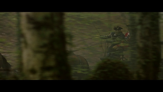 Video Reference: Plant, Wood, Terrestrial plant, Grass, Tints and shades, Twig, Font, Forest, Darkness, Trunk