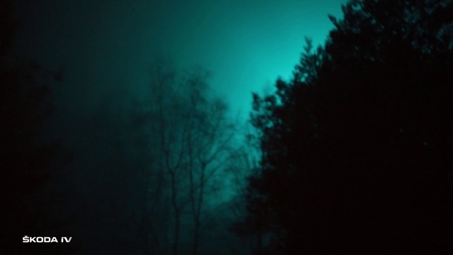 Video Reference: Atmosphere, Cloud, Sky, Natural landscape, Wood, Tree, Grey, Plant, Twig, Tints and shades