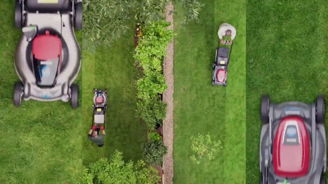 Video Reference: Plant, Car, Vehicle, Tire, Motor vehicle, Green, Automotive lighting, Tree, Mode of transport, Grass