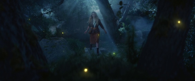 Video Reference: Plant, Tree, Cg artwork, Landscape, Midnight, Forest, Action-adventure game, Darkness, Jungle, Woodland