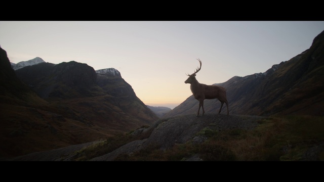Video Reference: Sky, Mountain, Slope, Natural landscape, Terrain, Fawn, Terrestrial animal, Grassland, Mountainous landforms, Landscape