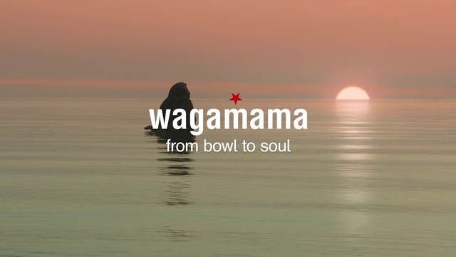 Video Reference: Water, Sky, Ecoregion, People in nature, Afterglow, Sunrise, Sunset, Gesture, Happy, Dusk