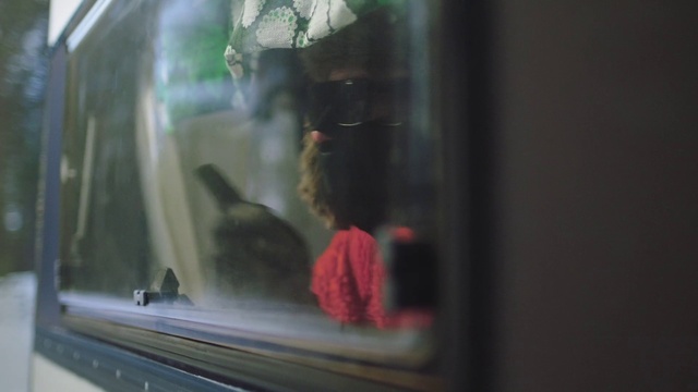 Video Reference: Window, Automotive lighting, Vehicle door, Automotive exterior, Automotive mirror, Tints and shades, Motor vehicle, Auto part, Automotive window part, Glass