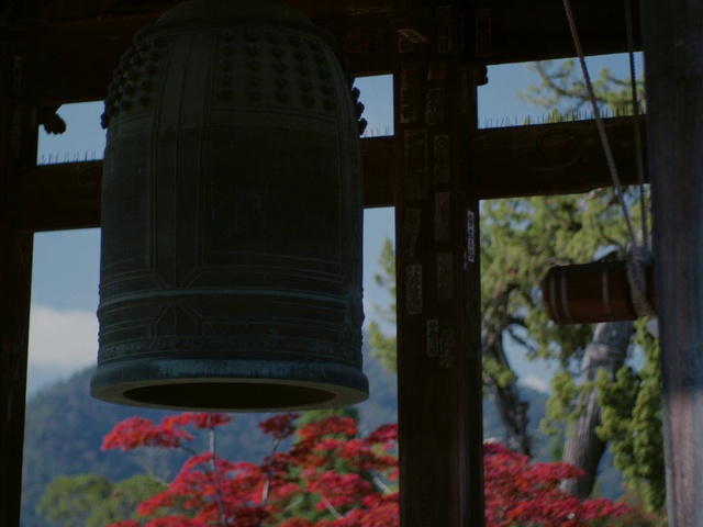 Video Reference: Plant, Flower, Idiophone, Musical instrument, Automotive tire, Lighting, Church bell, Sky, Bell, Window