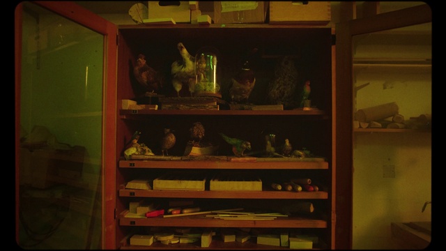 Video Reference: Brown, Shelf, Shelving, Wood, Display case, Cupboard, Retail, Room, Antique, Display window