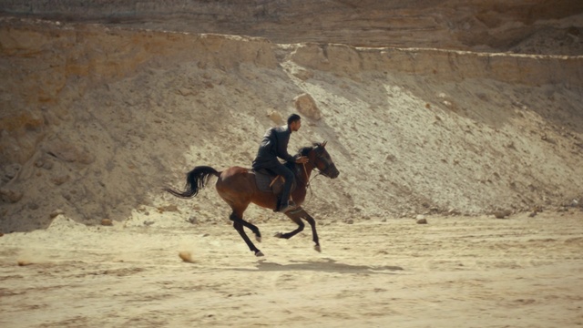 Video Reference: Horse, Ecoregion, Working animal, Horse tack, Saddle, Sorrel, Bridle, Horse supplies, Equestrian sport, Equestrianism