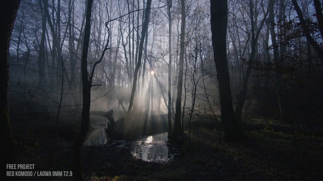 Video Reference: Atmosphere, Water, Sky, Natural landscape, Plant, Wood, Twig, Tree, Trunk, Deciduous