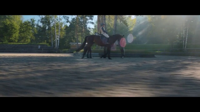 Video Reference: Horse, Plant, Tree, Working animal, Horse tack, Wood, Horse supplies, Grass, Bridle, Helmet