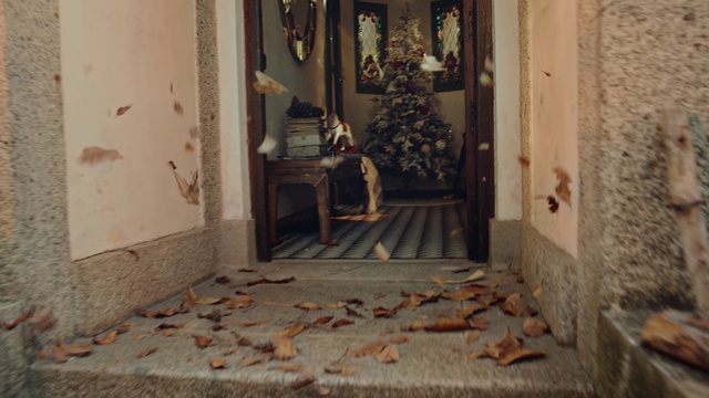 Video Reference: Door, Wood, Building, Floor, Flooring, House, Tints and shades, Twig, Ornament, Room