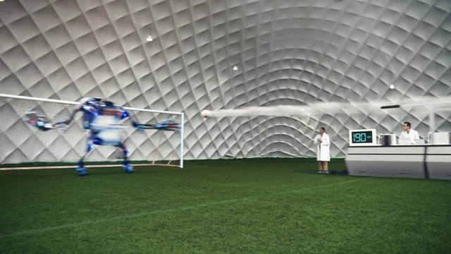 Video Reference: Sports equipment, Football, Plant, Mesh, Grass, Ball, Soccer, Fence, Player, Leisure