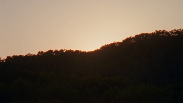 Video Reference: Sky, Plant, Natural landscape, Afterglow, Dusk, Sunset, Sunrise, Tree, Red sky at morning, Landscape