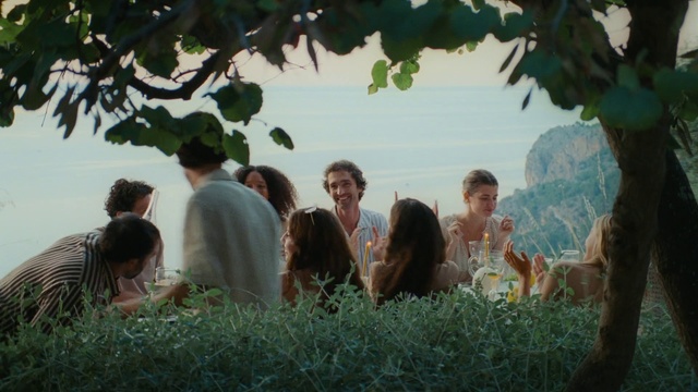 Video Reference: Sky, Plant, Green, People in nature, Happy, Leisure, Grass, Adaptation, Summer, Crowd