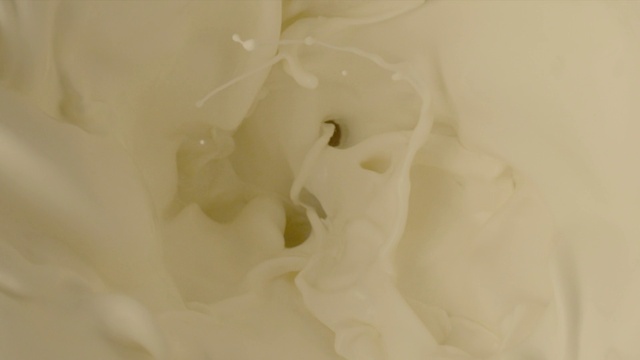 Video Reference: Jaw, Petal, Gesture, Art, Monochrome photography, Still life photography, Plant, Flowering plant