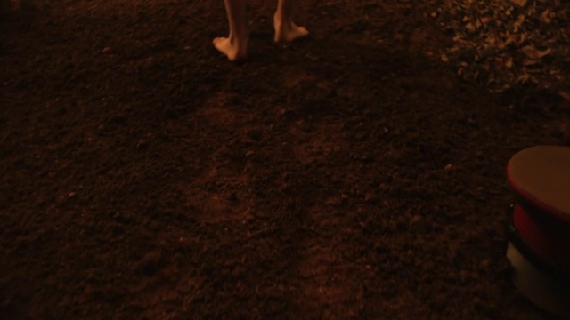 Video Reference: Sky, Wood, Road surface, Asphalt, Flooring, Tints and shades, Grass, Human leg, Foot, Soil