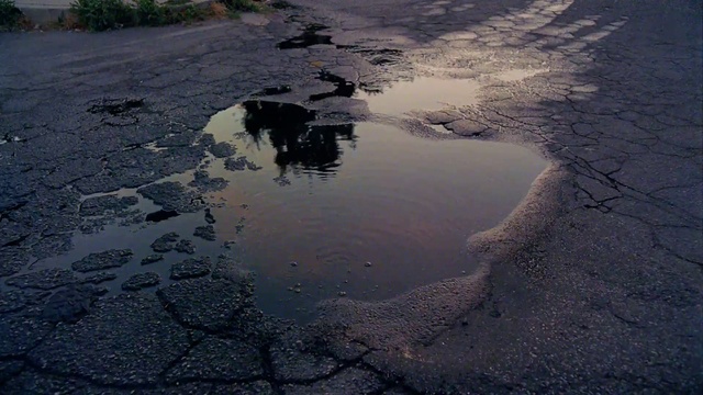 Video Reference: Water, Water resources, Plant, Body of water, Watercourse, Road surface, Geological phenomenon, Landscape, Natural landscape, Wetland