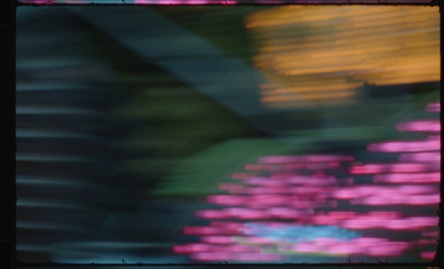 Video Reference: Automotive lighting, Purple, Font, Tints and shades, Tree, Water, Magenta, Technology, Rectangle, Electric blue