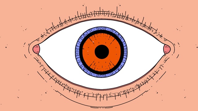 Video Reference: Colorfulness, Eyebrow, Eye, Eyelash, Human body, Organism, Iris, Font, Circle, Diagram