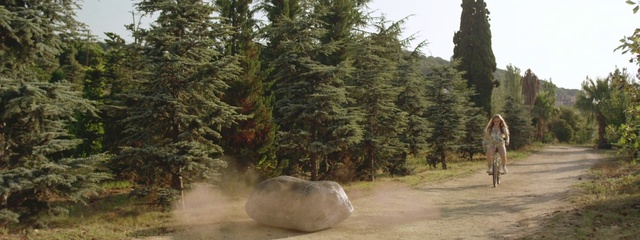 Video Reference: Plant, Tree, Grass, Landscape, Sky, Wheel, Forest, Evergreen, Vehicle, Natural landscape