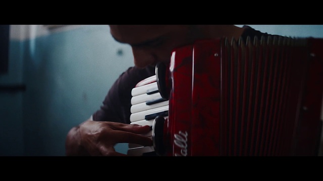 Video Reference: Musical instrument, Accordionist, Musician, Squeezebox, Keyboard, Electronic instrument, Music, Entertainment, Audio equipment, Font