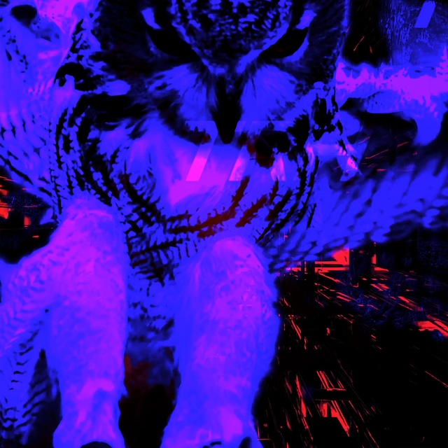 Video Reference: Azure, Organism, Art, Electric blue, Pattern, Space, Event, Magenta, Darkness, Graphics