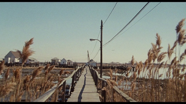 Video Reference: Sky, Plant, Wood, Tree, Street light, Landscape, Road, Electricity, Overhead power line, Horizon