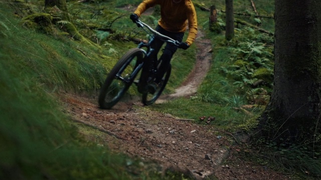 Video Reference: Bicycle, Wheel, Bicycle wheel, Bicycles--Equipment and supplies, Tire, Bicycle frame, Vehicle, Bicycle fork, Plant, Bicycle handlebar