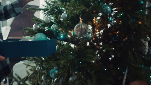 Video Reference: Christmas tree, Christmas ornament, Plant, Branch, Holiday ornament, Ornament, Evergreen, Twig, Christmas decoration, Tree