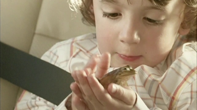 Video Reference: Hair, Nose, Face, Skin, Head, Lip, Hand, Hairstyle, Eye, Eyebrow