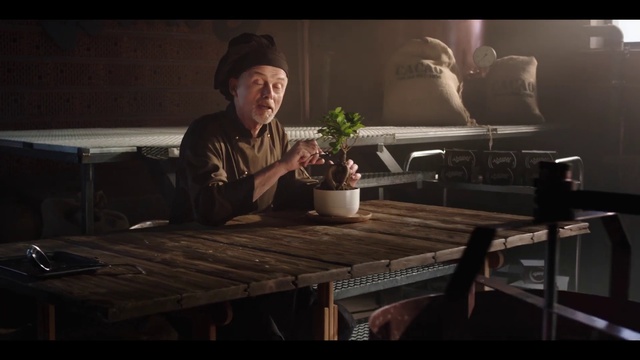 Video Reference: Table, Flash photography, Fedora, Plant, Hat, Darkness, Houseplant, Sun hat, Sitting, Room