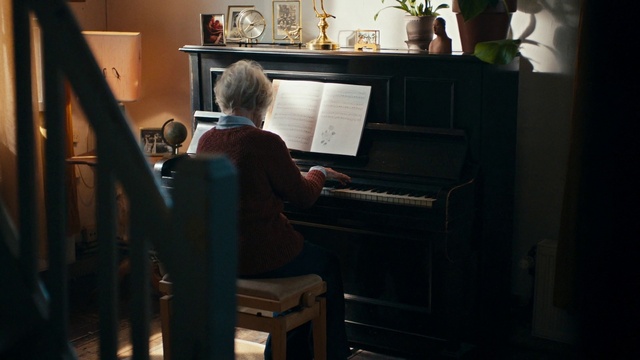 Video Reference: Musical instrument, Piano, Keyboard, Musician, Musical instrument accessory, Music, Pianist, Houseplant, Flowerpot, Entertainment