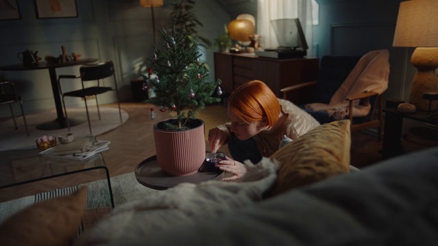 Video Reference: Christmas tree, Furniture, Lighting, Interior design, Wood, Picture frame, Comfort, Living room, Plant, Flooring