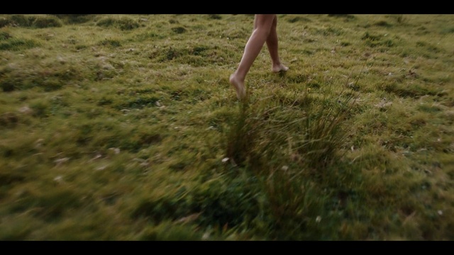 Video Reference: Plant, People in nature, Gesture, Happy, Wood, Fawn, Grass, Grassland, Meadow, Landscape
