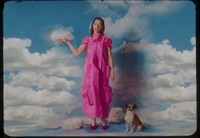 Video Reference: Cloud, Photograph, Sky, Dog, Carnivore, Pink, Rectangle, Happy, People in nature, Fawn