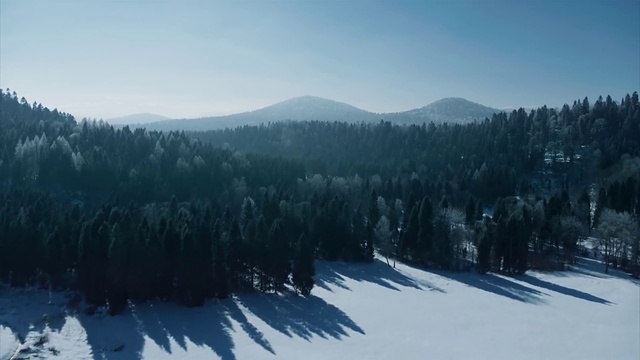 Video Reference: Sky, Mountain, Cloud, Tree, Slope, Larch, Snow, Highland, Plant, Natural landscape